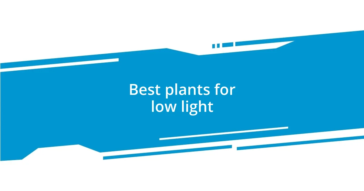 Best plants for low light